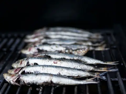 Sardines et maquereaux, poissons oubliés
